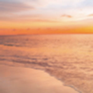 Meet your Posher, Zoe